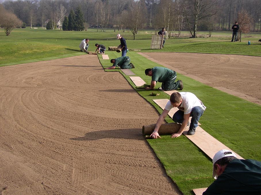 Nouvelle pelouse sur un golf