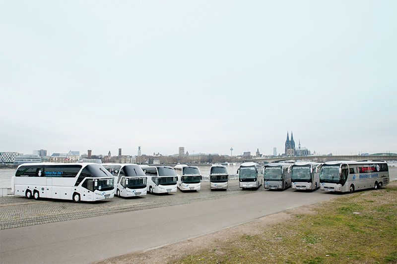 Eine Reihe von Bussen parkt am Straßenrand