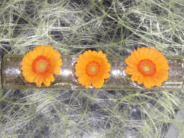 Décoration avec des fleurs de tournesol