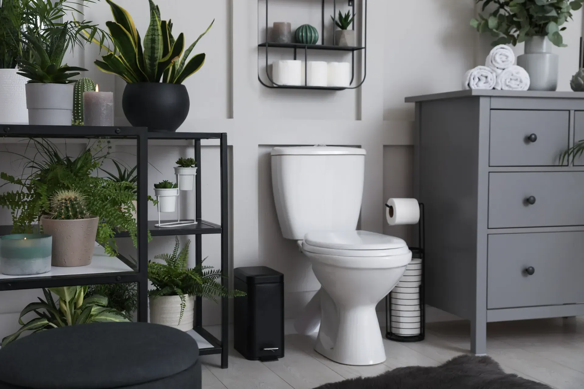 Un baño con inodoro, tocador y estantes llenos de plantas en macetas.