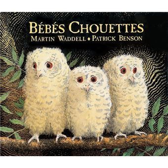 Première de couverture du livre Bébés chouettes