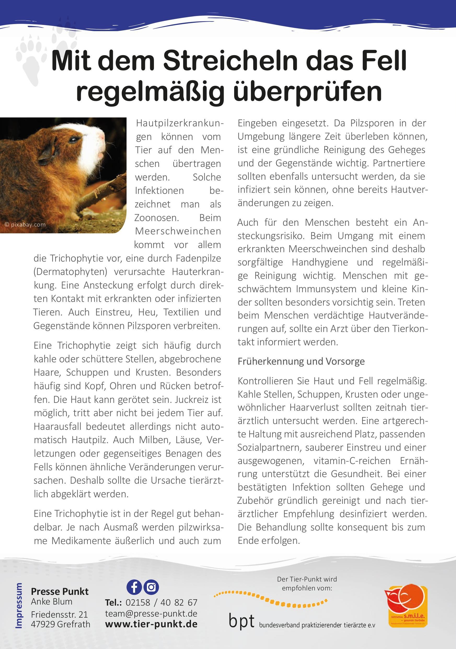 Tierarztpraxis an der Kaiserstraße | Newsletter Seite 1