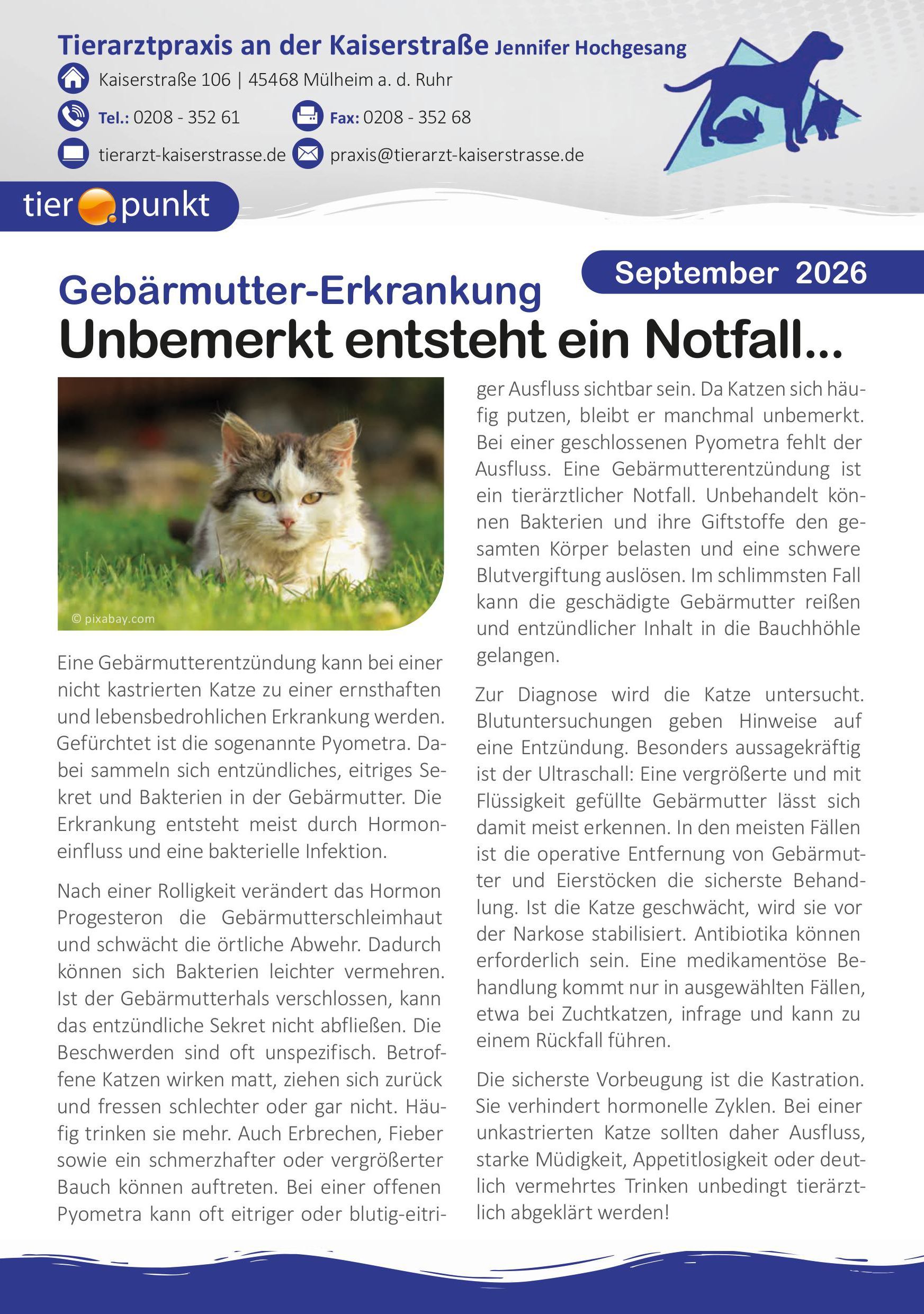 Tierarztpraxis an der Kaiserstraße | Newsletter Seite 2