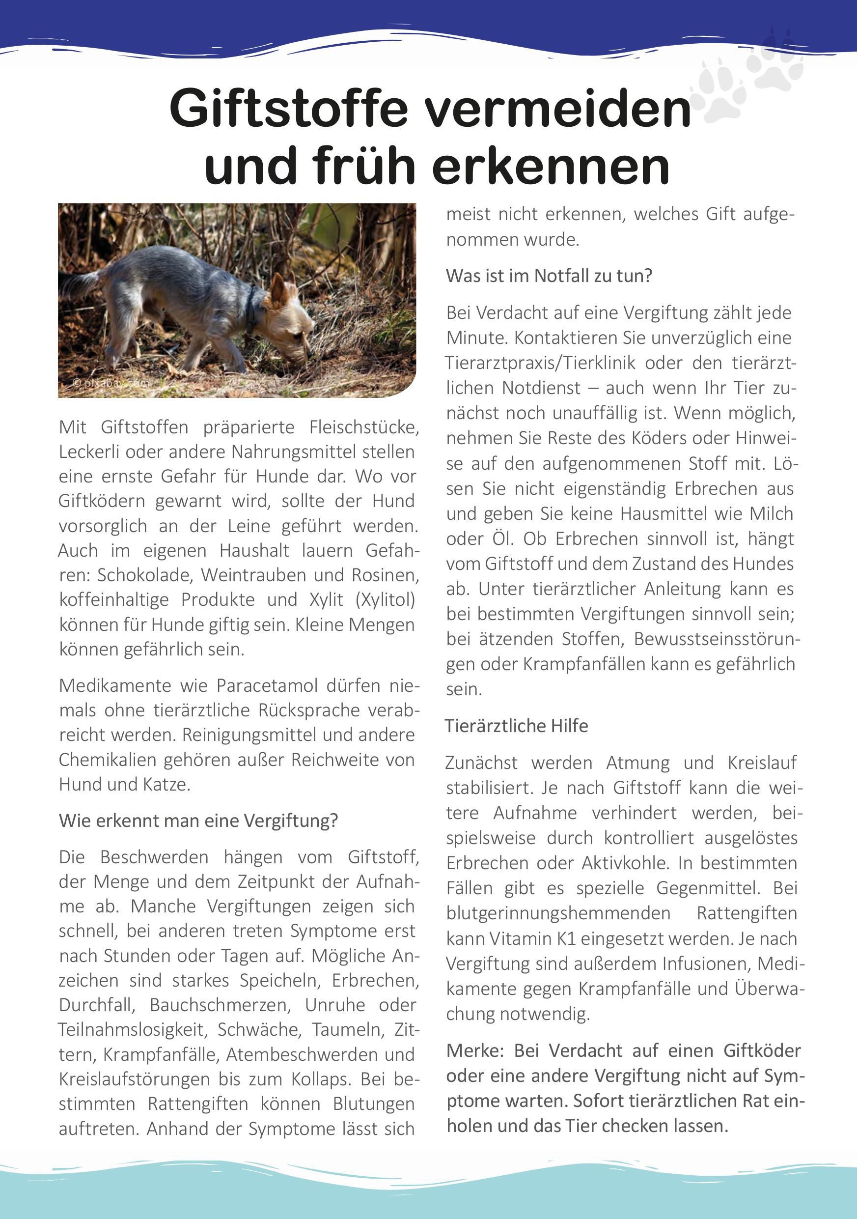 Tierarztpraxis an der Kaiserstraße | Newsletter Seite 3