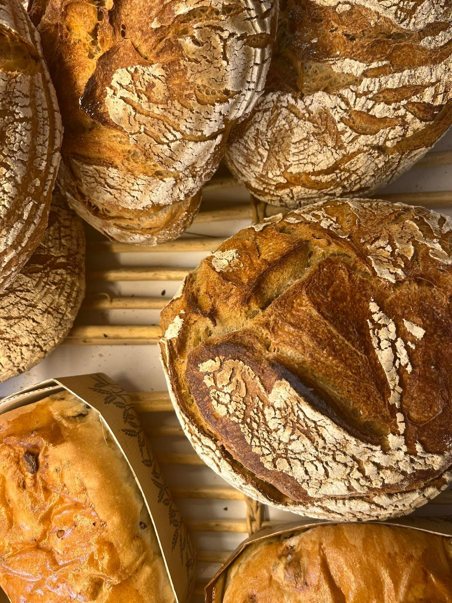 Assortiment de pains artisanaux rustiques à croûte dorée, sur une grille de refroidissement.