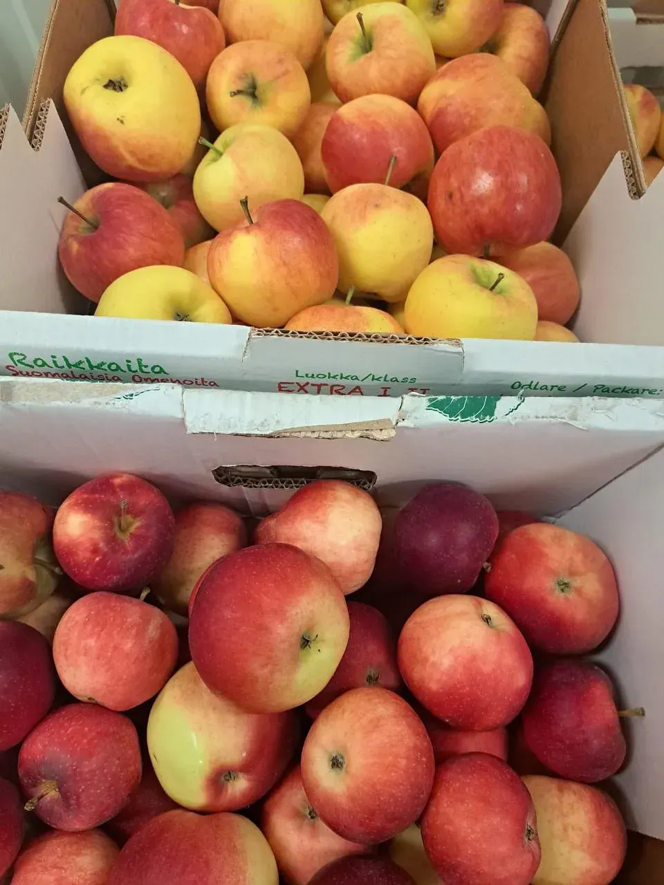 I & R Kärkäinen Oy