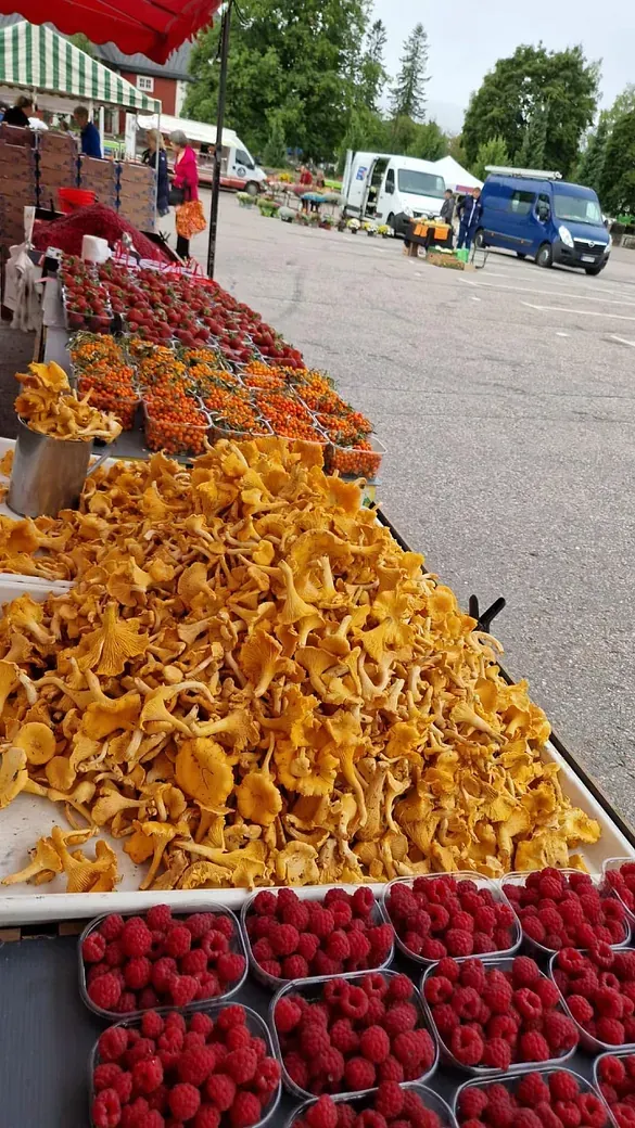 I & R Kärkäinen Oy