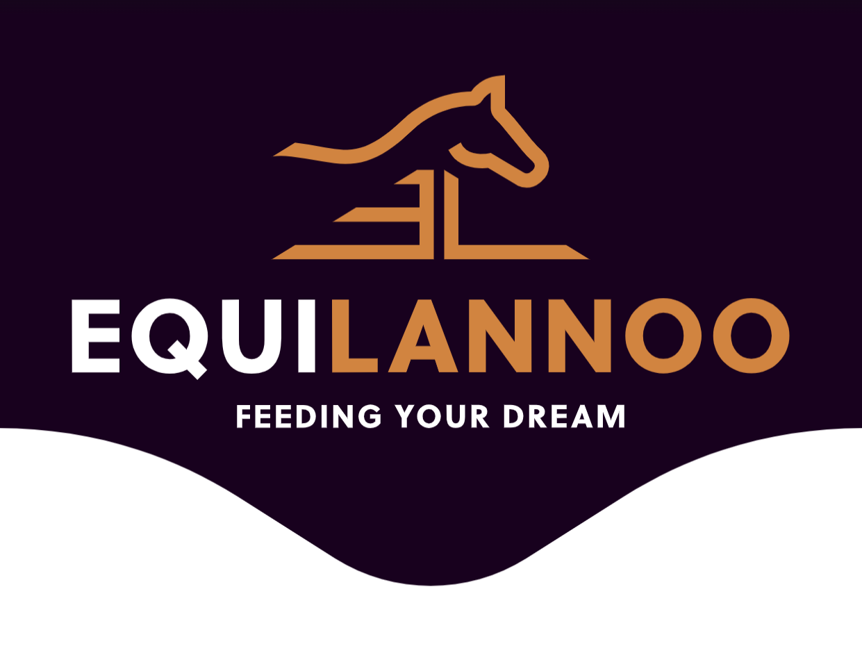 Equilannoo Logo