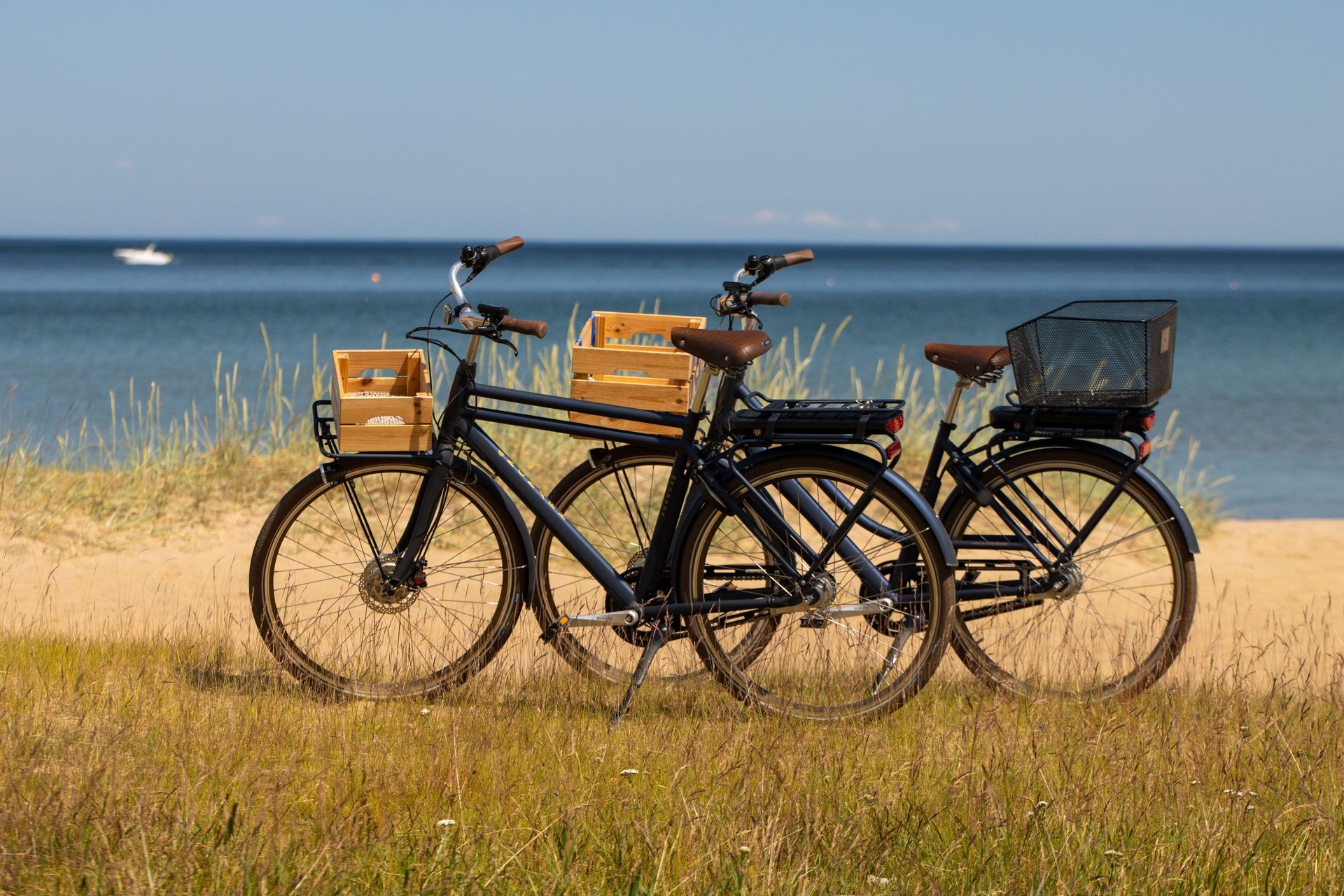 Drei Fahrräder stehen im trockenen Gras am Meer, im Hintergrund ist der Ozean zu sehen.