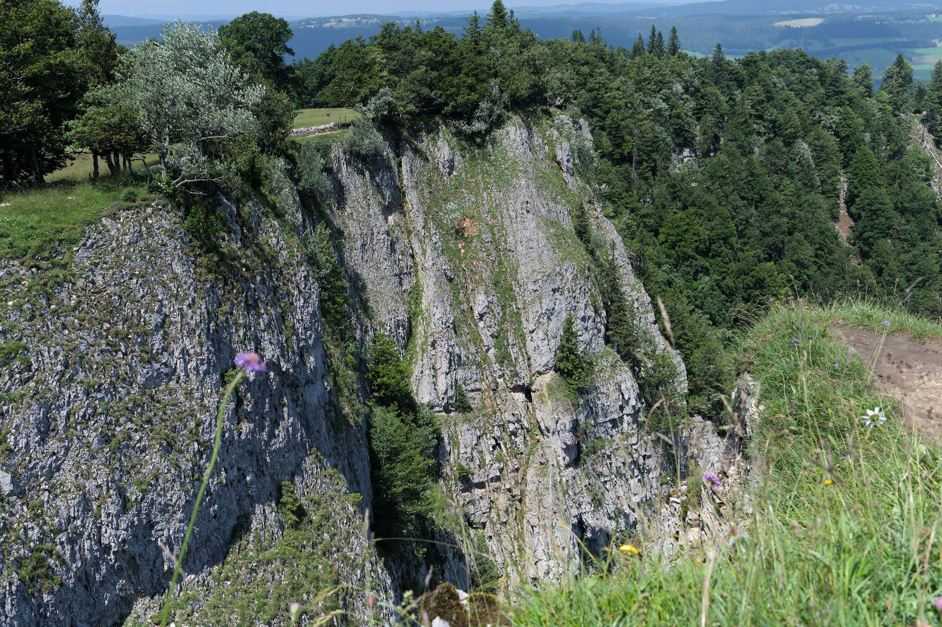 Bodetal