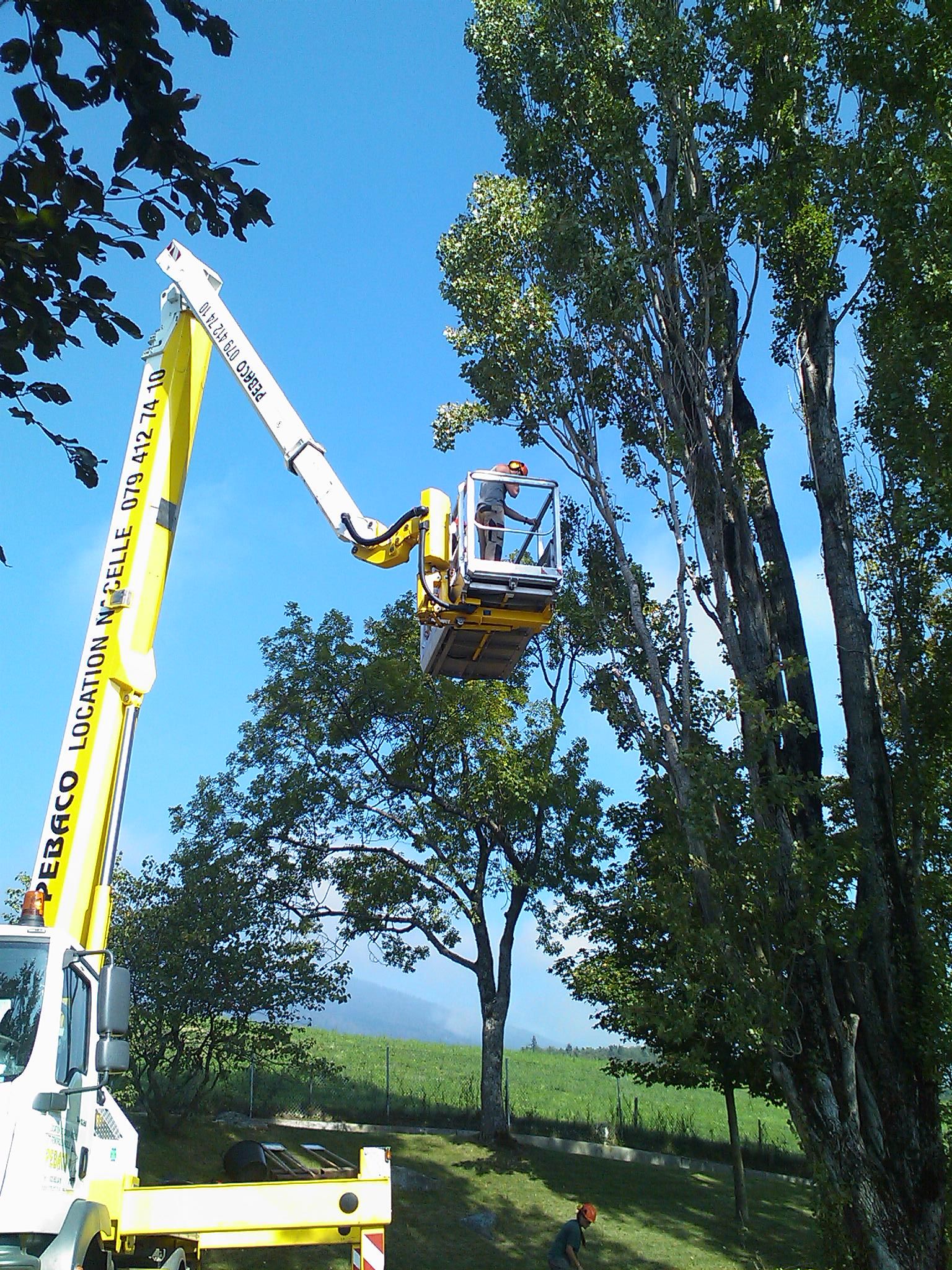 Brugère Jardin SA - élagage