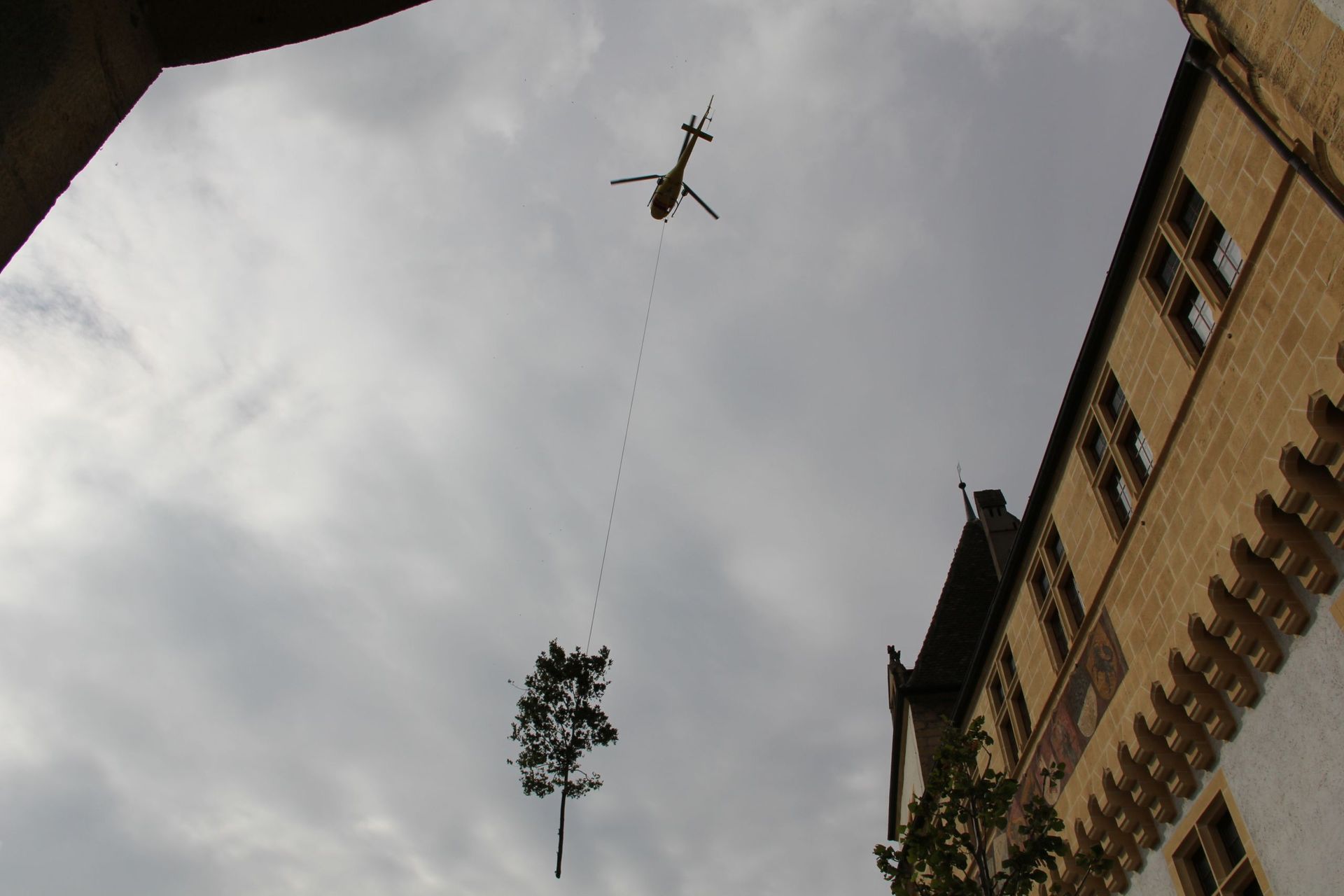 Elagage - Brugère Jardin SA