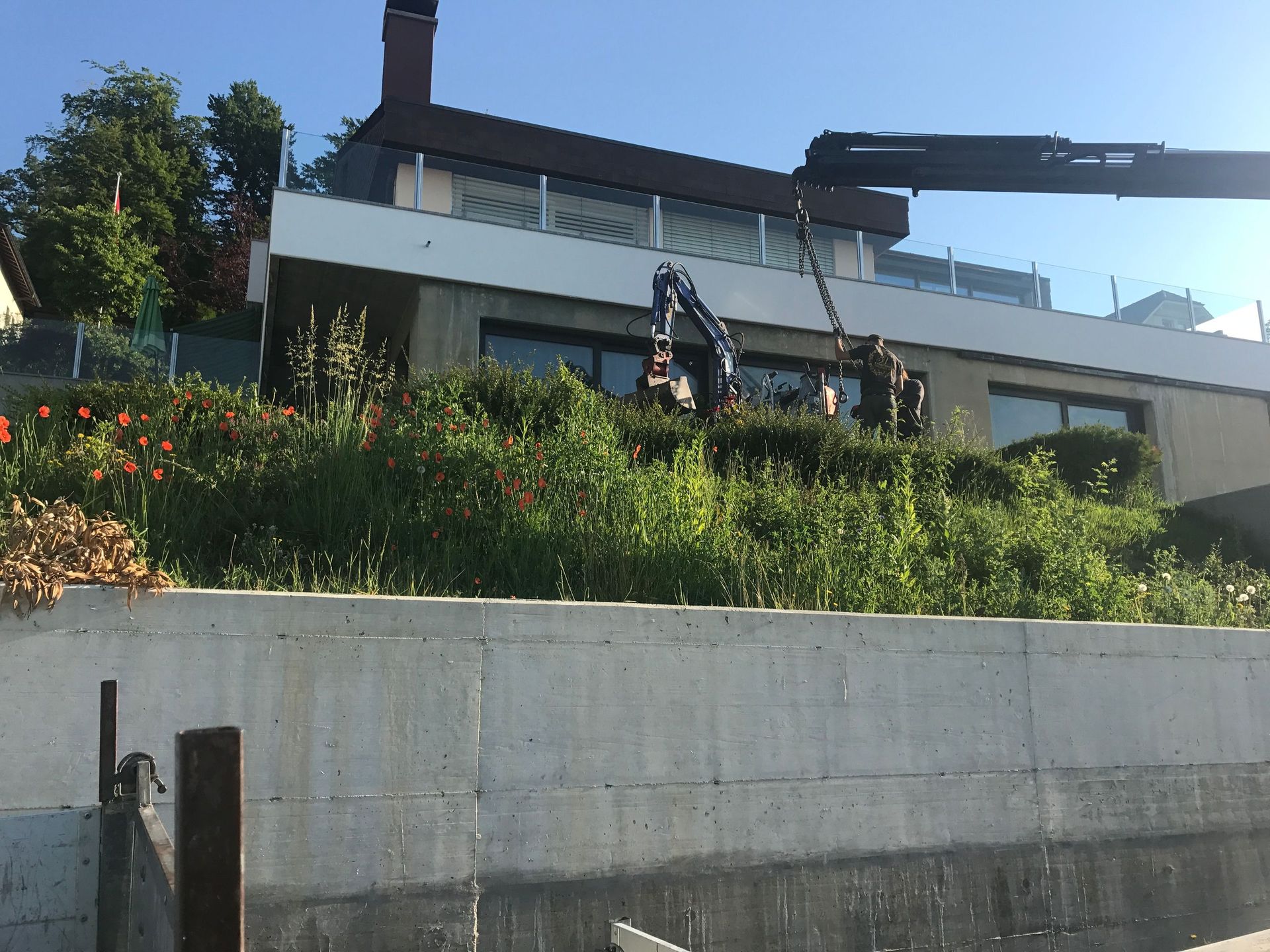 Engazonnement 2 - Brugère Jardin SA