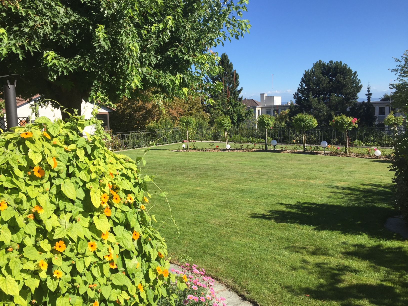 Brugère Jardin SA - création de jardins