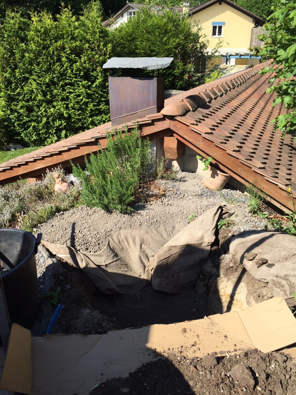 Brugère Jardin SA - plantation d'arbre