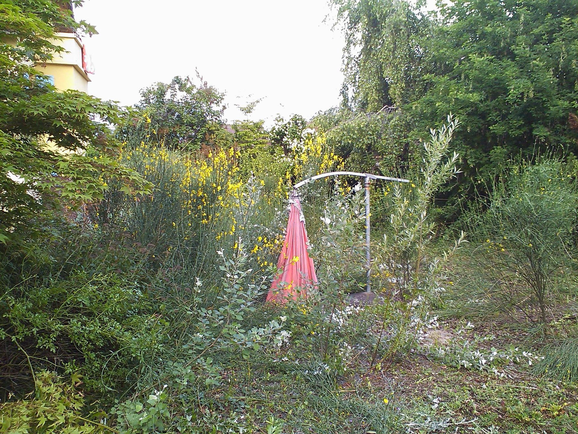 Débroussaillage - Brugère Jardin SA