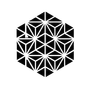 Patr&oacute;n hexagonal geom&eacute;trico en blanco y negro con formas triangulares.