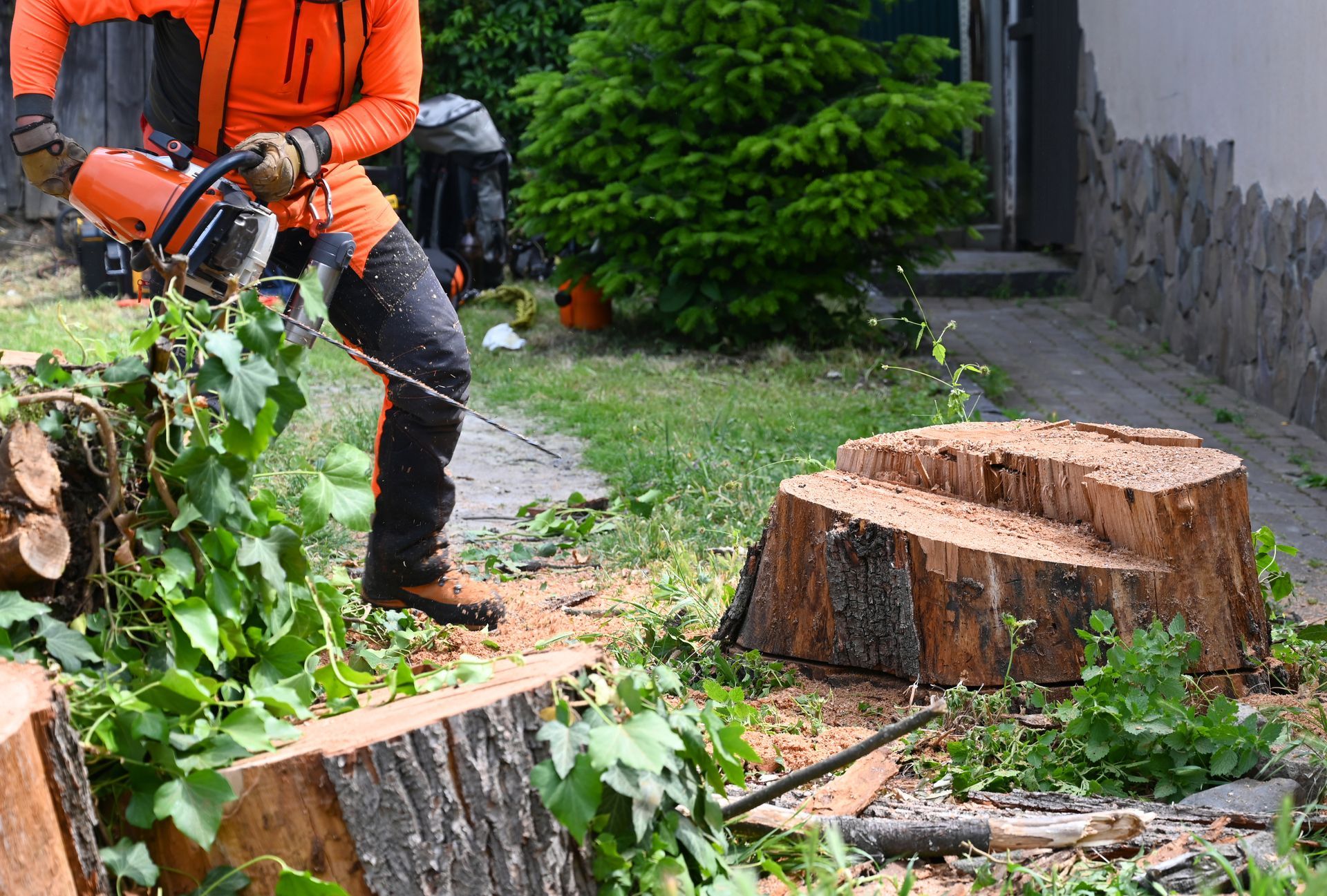 Une personne en veste orange coupe un tronc d'arbre à la tronçonneuse dans un jardin, des bûches et des branches sont éparpillées à proximité.