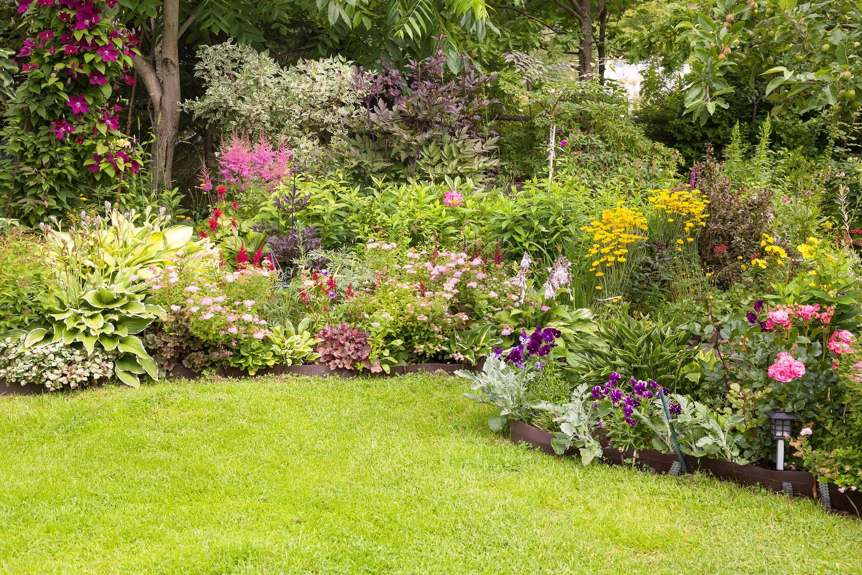 Jardin fleuri et coloré avec des arbustes en fleurs et une pelouse verte au premier plan.