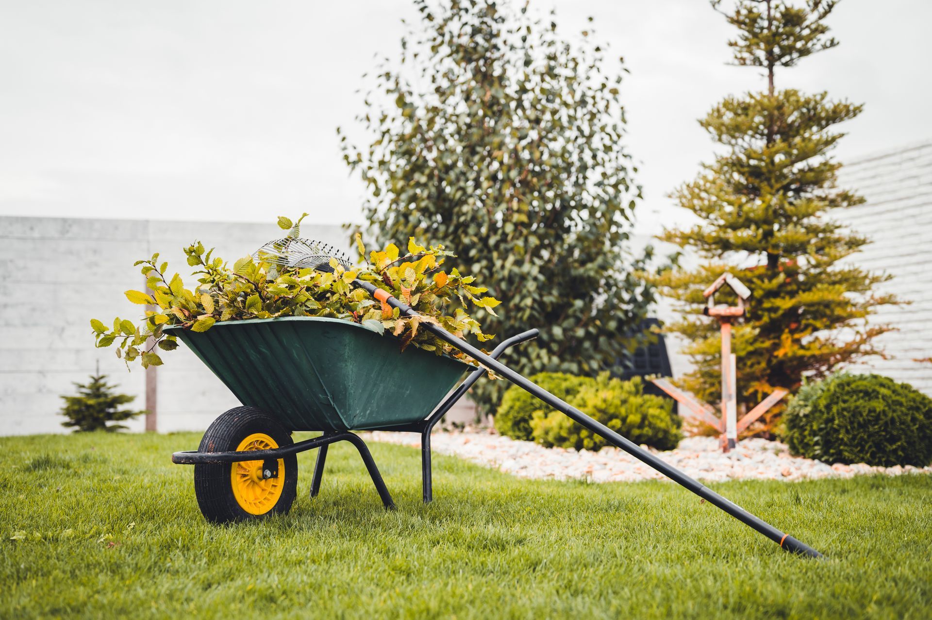 Brouette verte à roue jaune remplie de plantes sur une pelouse près d'un jeune arbre et d'un parterre de fleurs.