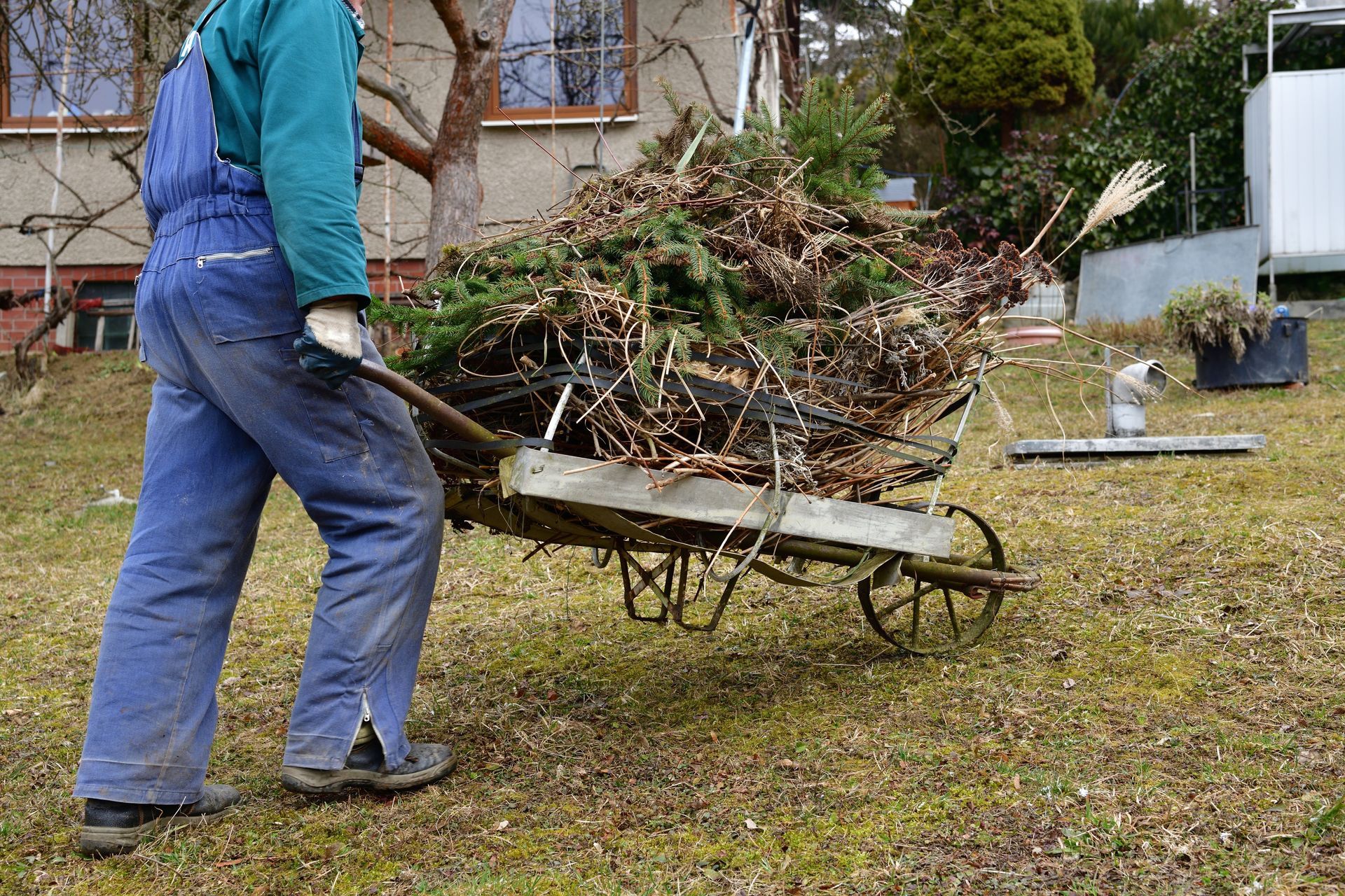 Une personne pousse une brouette pleine de débris de jardin à travers une cour herbeuse.