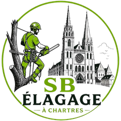 Vers la page d'accueil Logo SB Élagage