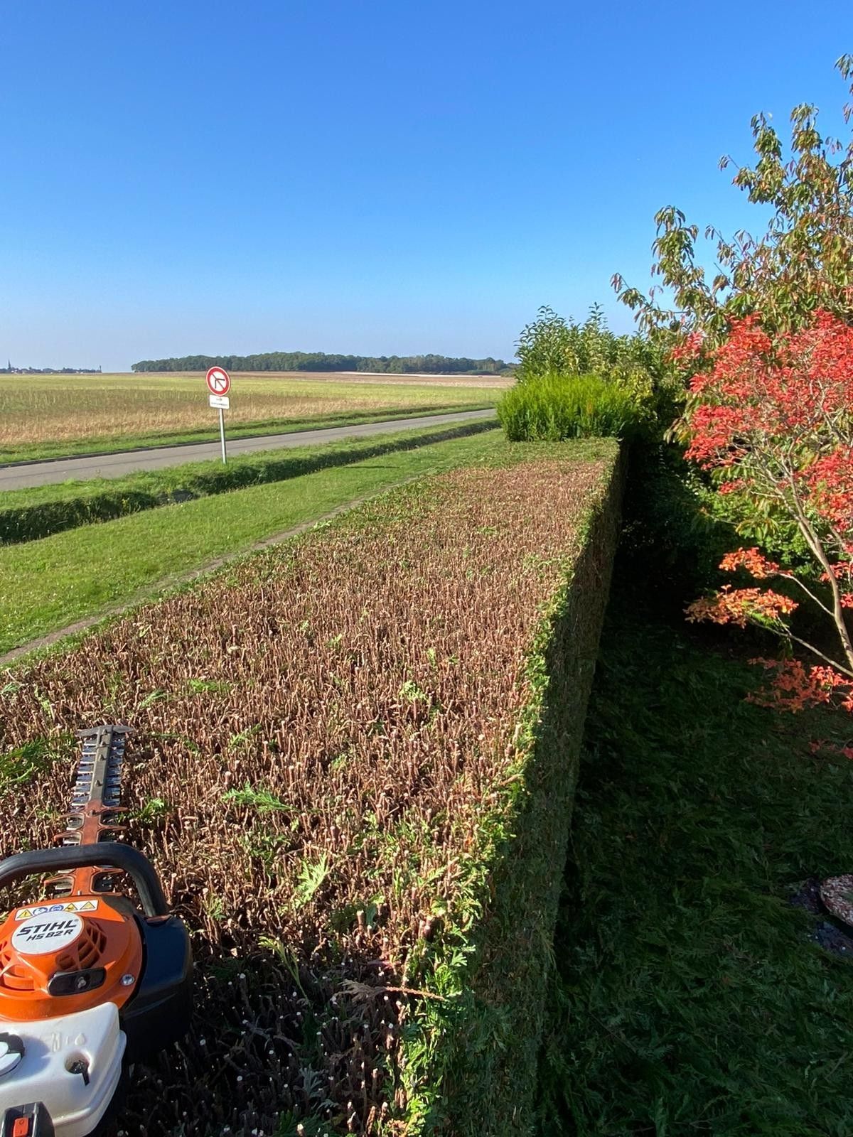 Deux paysagistes aménagent et entretiennent un jardin.