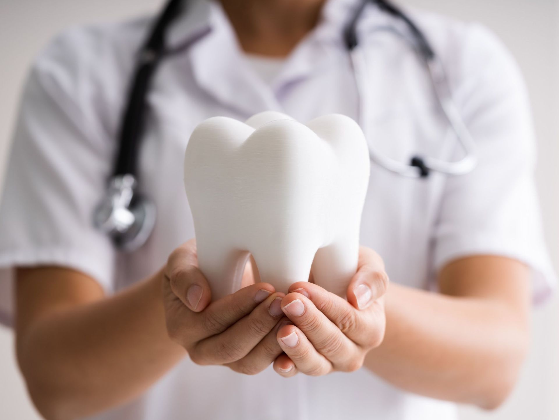 Un dentista sostiene un modelo de un diente en sus manos.