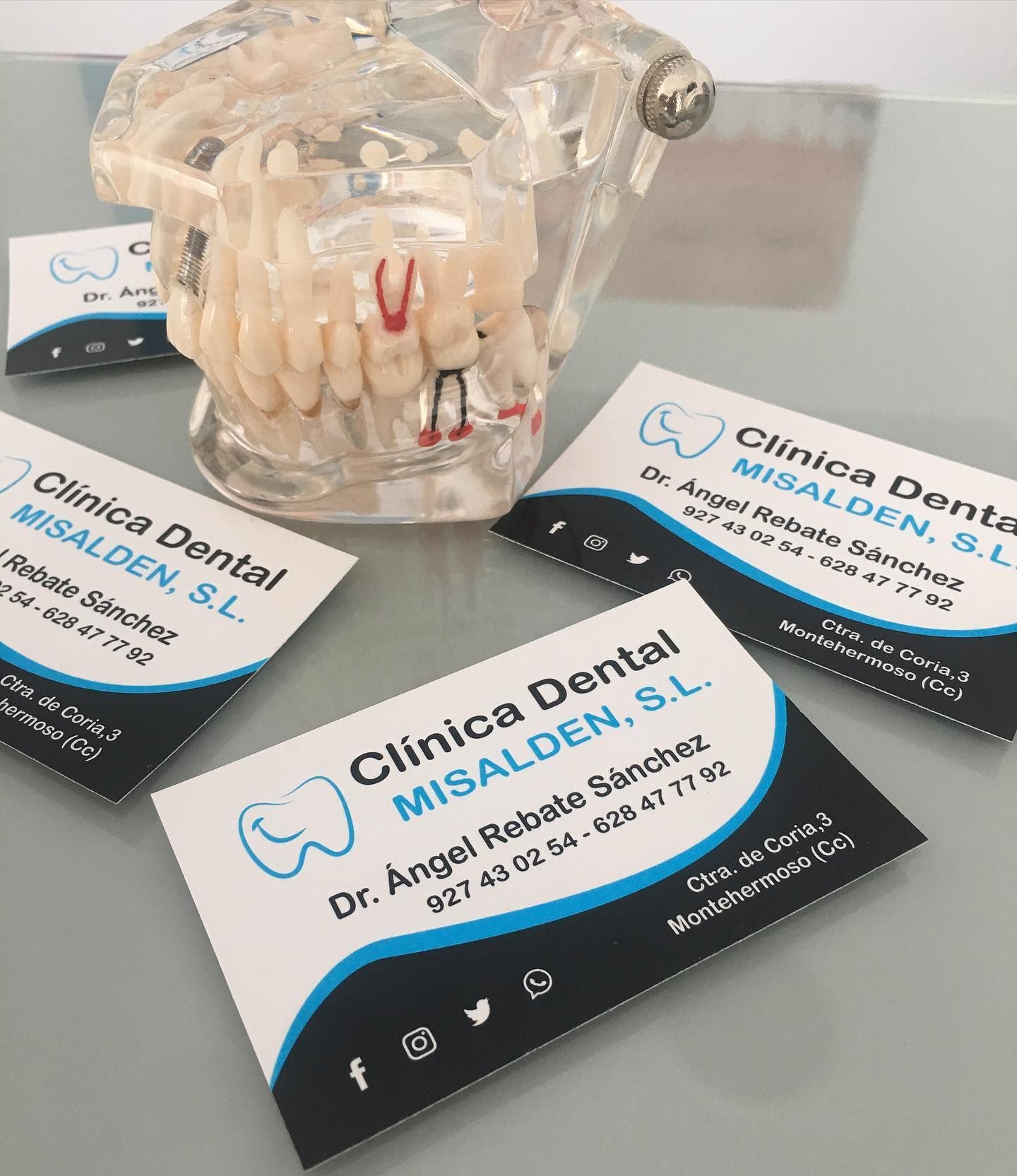 Tres tarjetas de visita de la Clínica Dental Misalden SL están sobre una mesa al lado de un modelo de dientes.