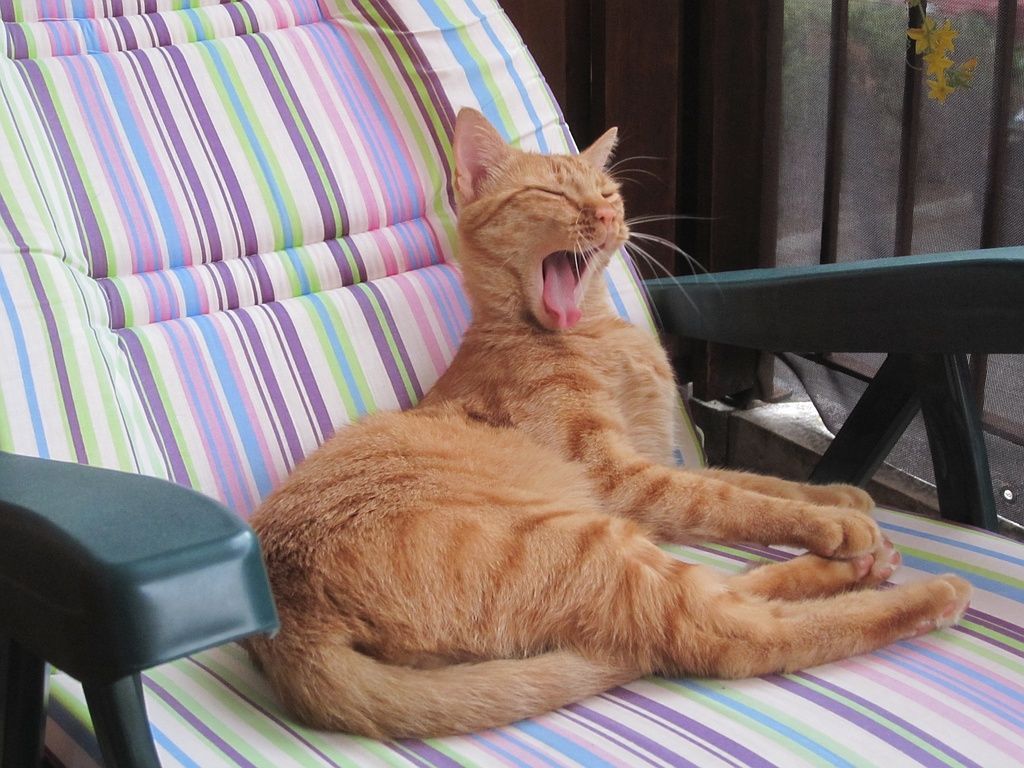 Que la vie est dure...