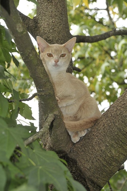 excellent point de surveillance