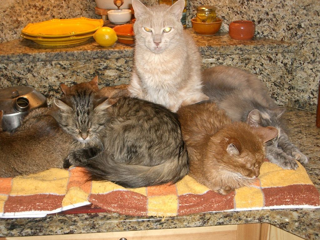 il n'y aurait pas encore une petite place pour moi svp ?