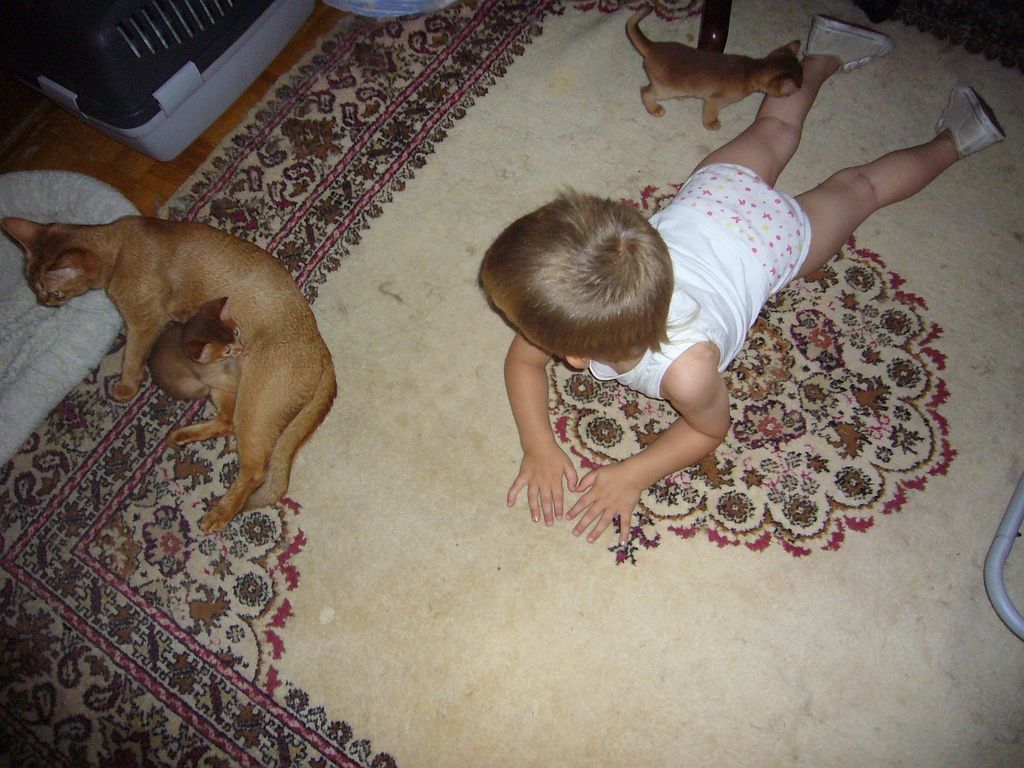 découverte inter-espèces