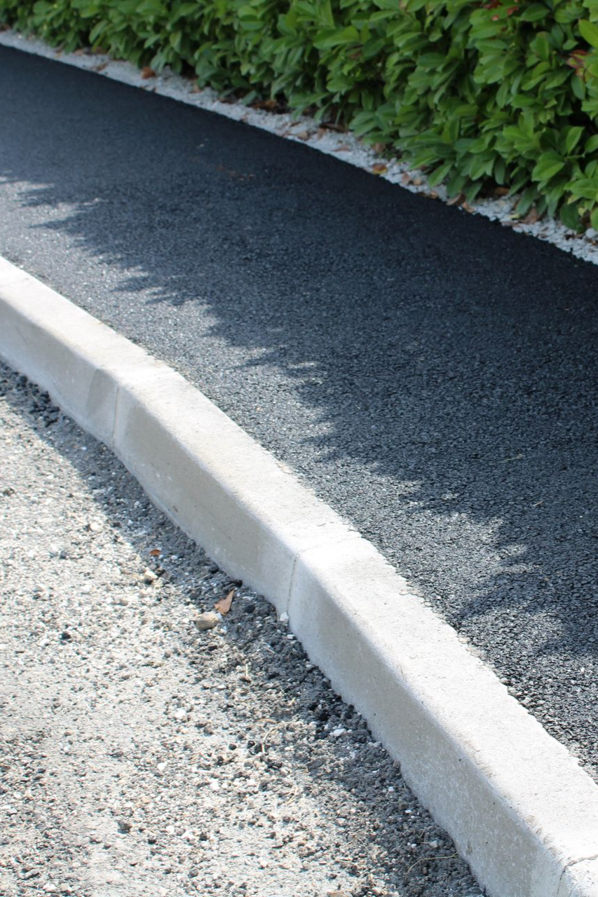 Allée asphaltée avec bordure en béton et végétation luxuriante.