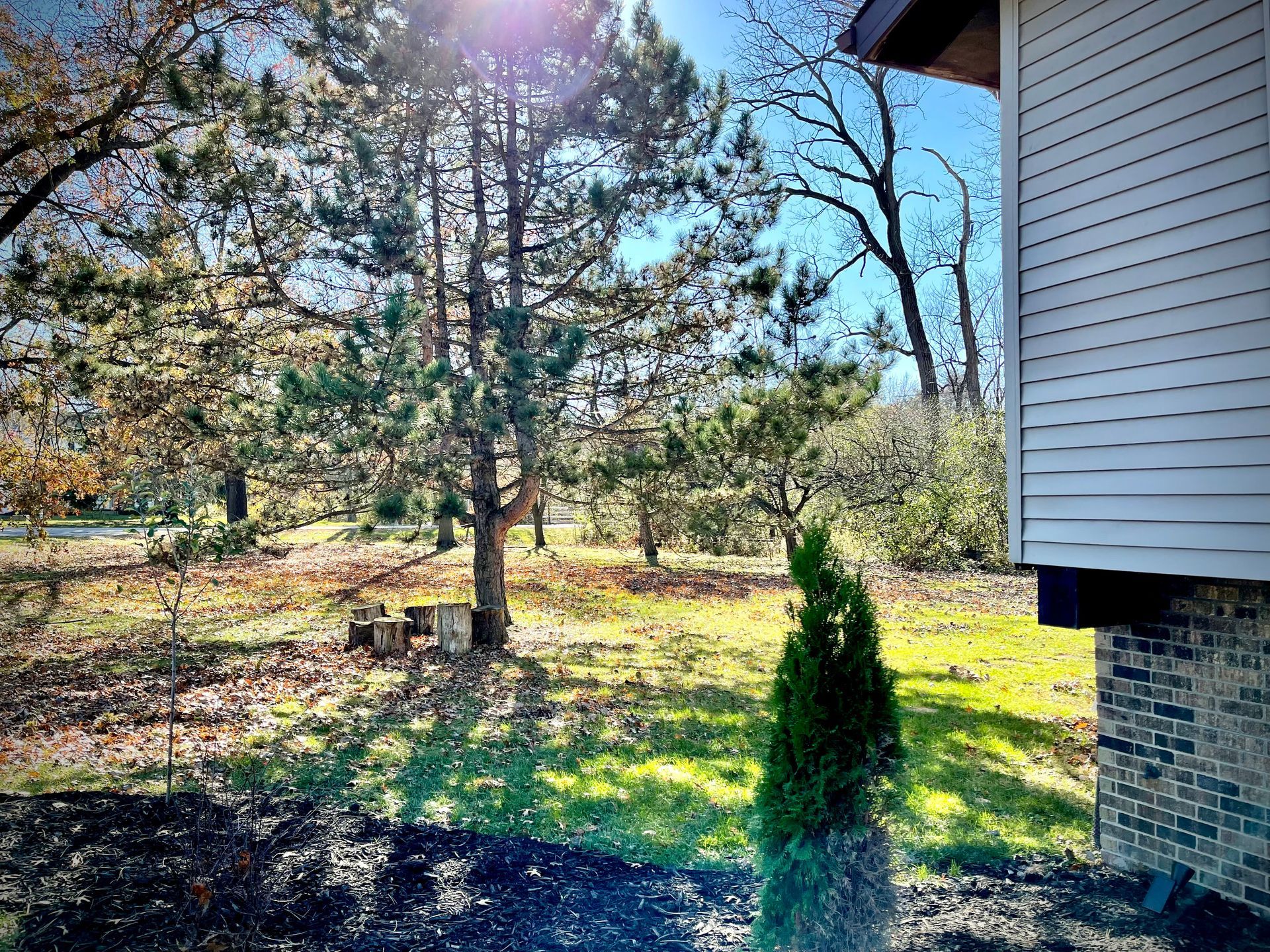 A house with a lot of trees in front of it.