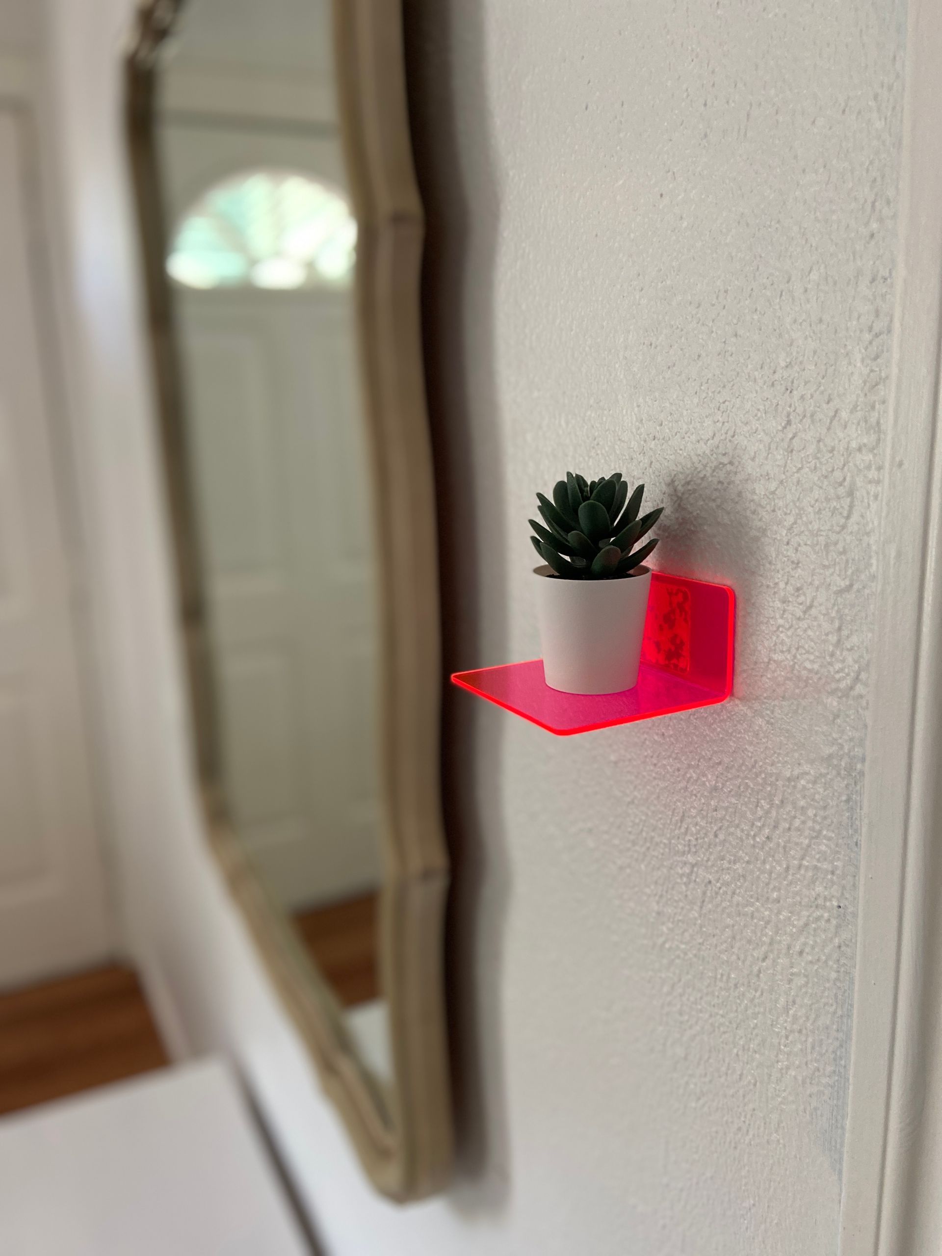A small potted plant is sitting on a pink shelf next to a mirror.