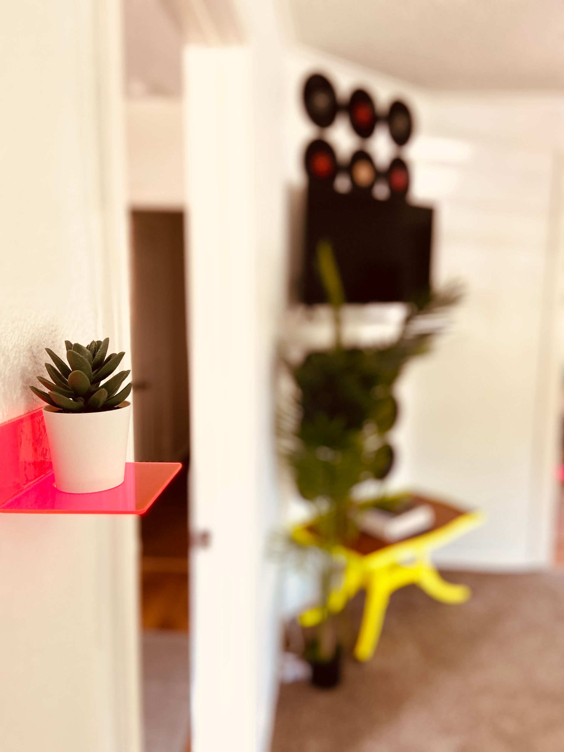 A pink shelf with a potted plant on it