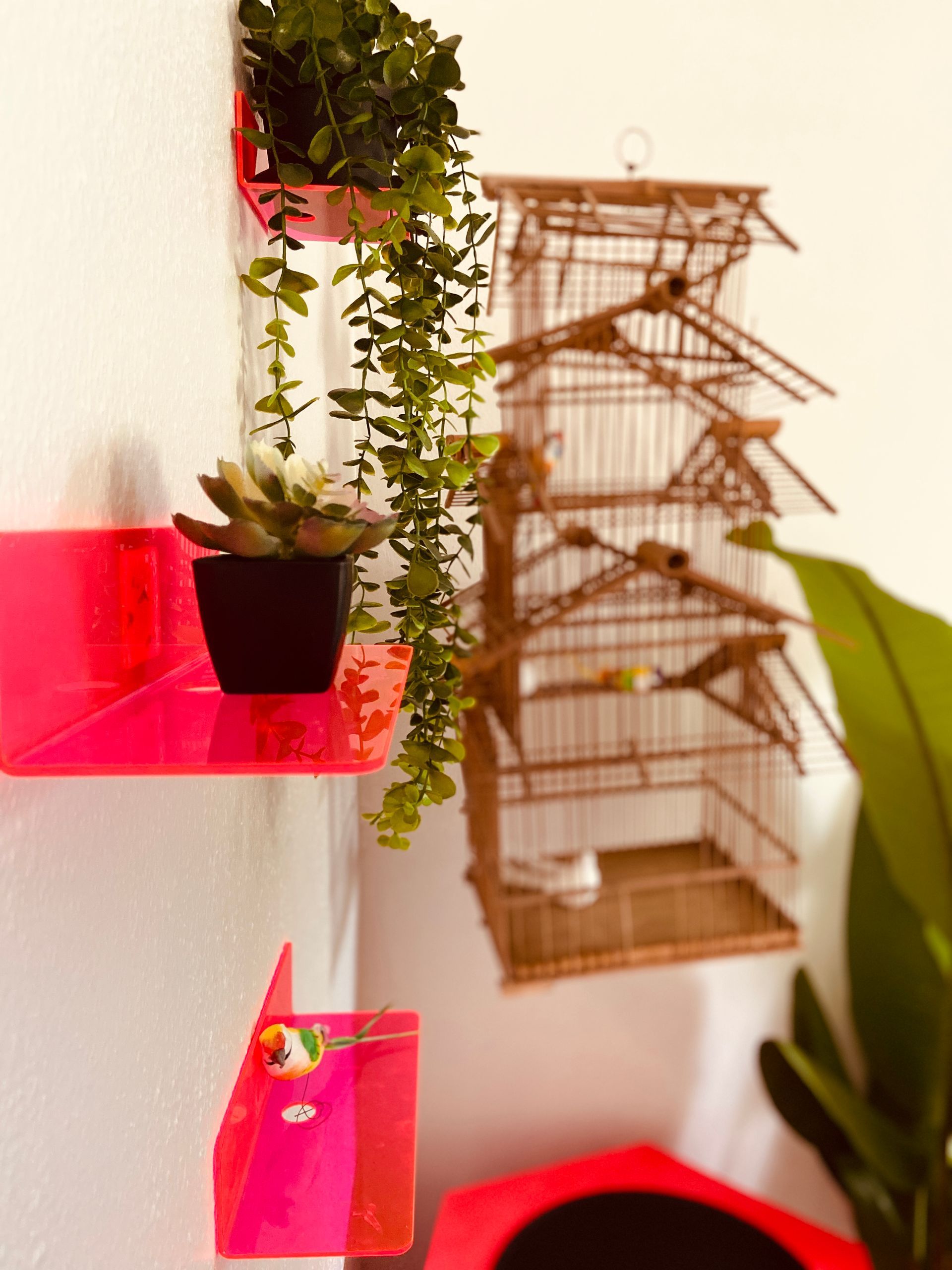 A pink shelf with a plant and a bird cage on it.