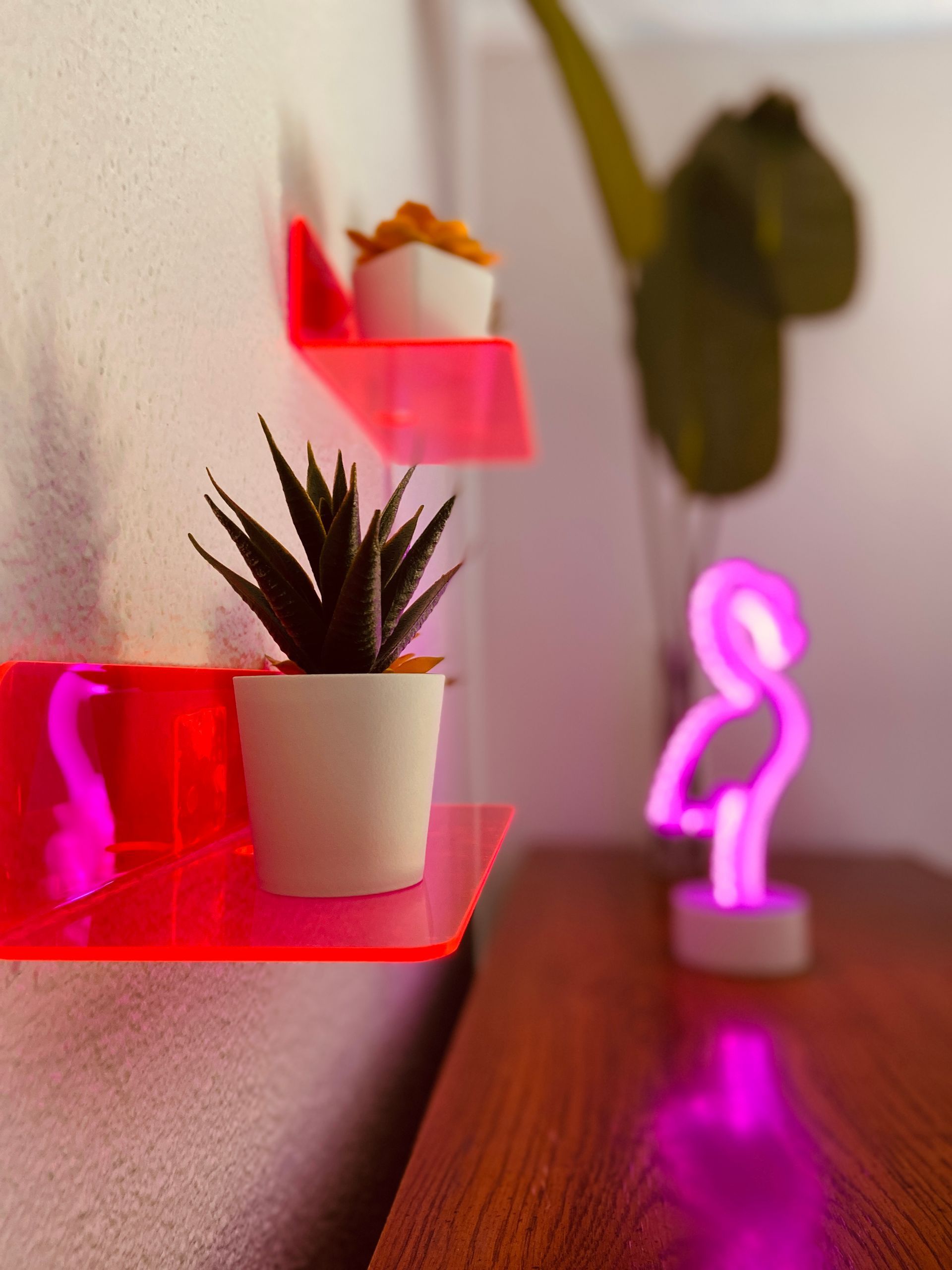 A plant is sitting on a pink shelf next to a neon flamingo.