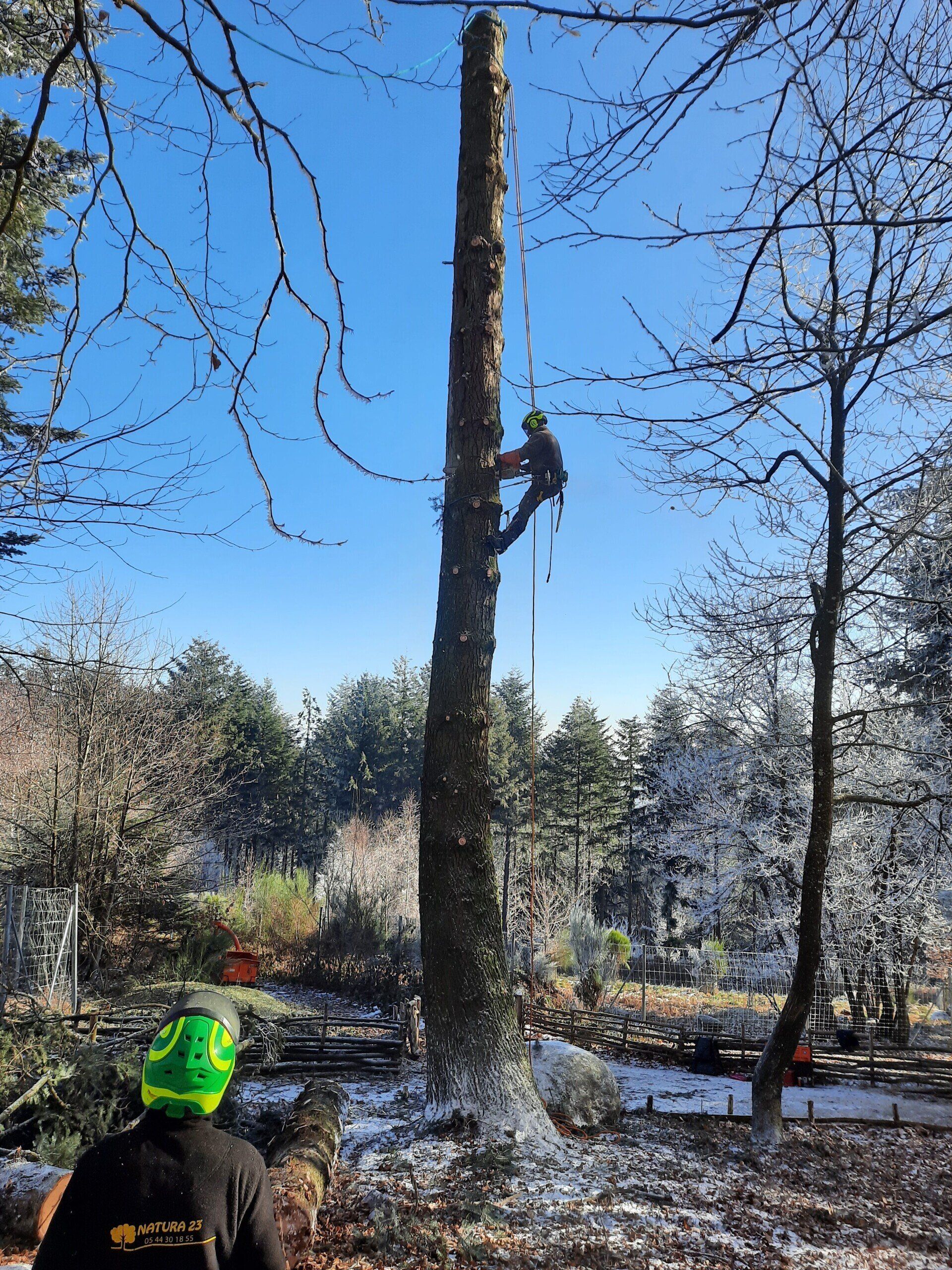 Travail d'équipe élagage