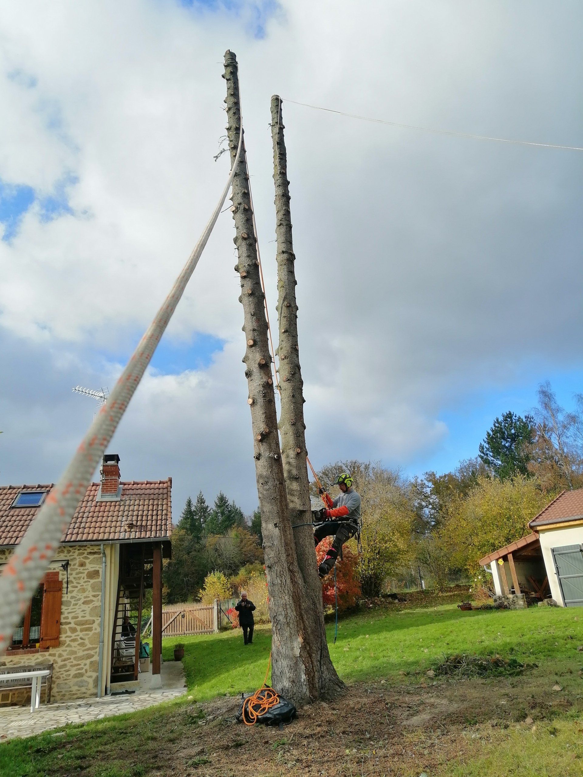 Prestation d'élagage