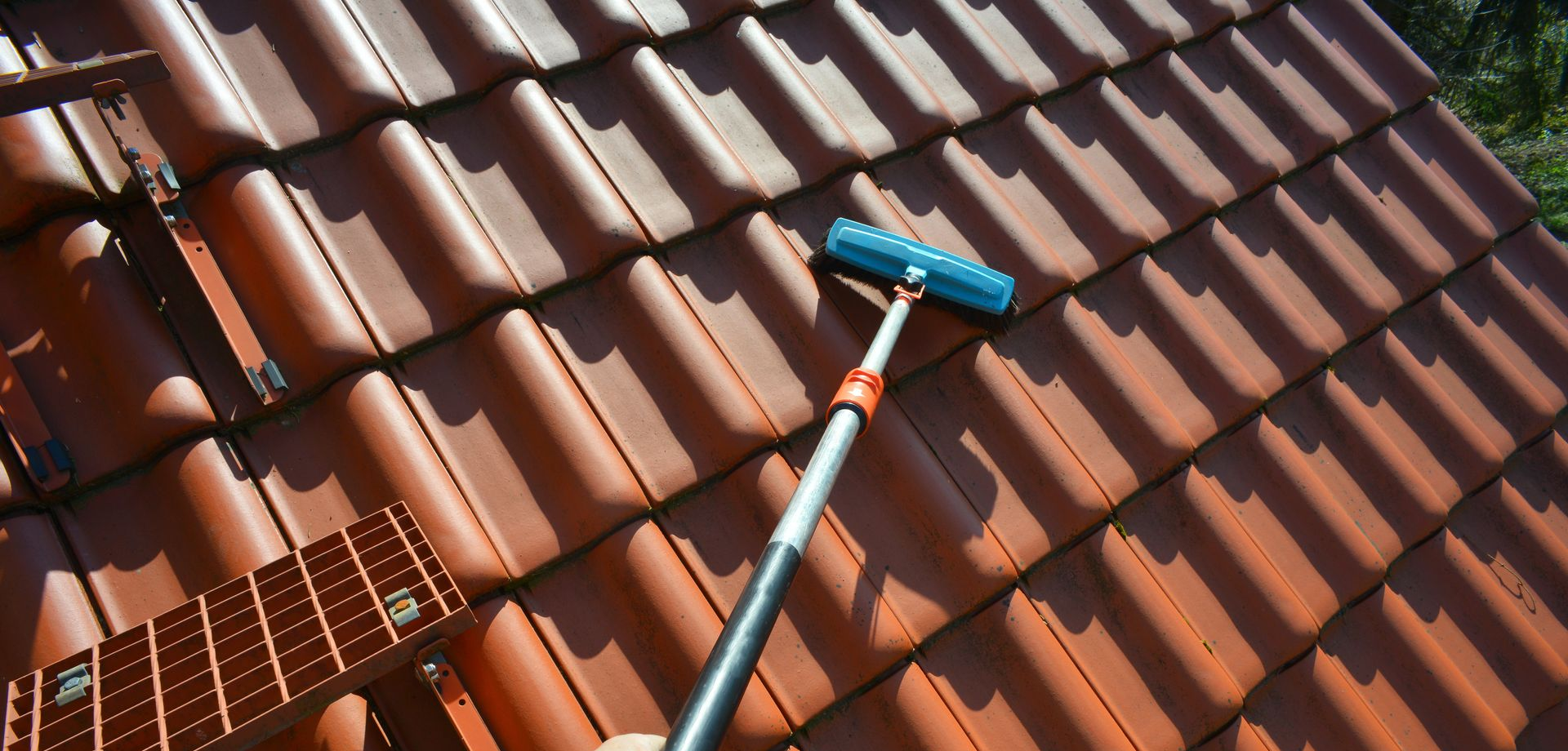 Une brosse sur un toit.