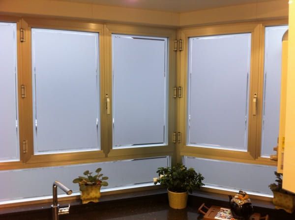 Una cocina con muchas ventanas y una planta en la encimera.