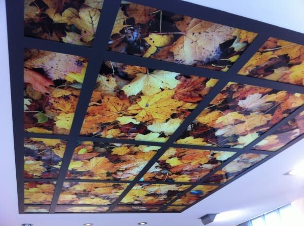 Un techo con una imagen de hojas.