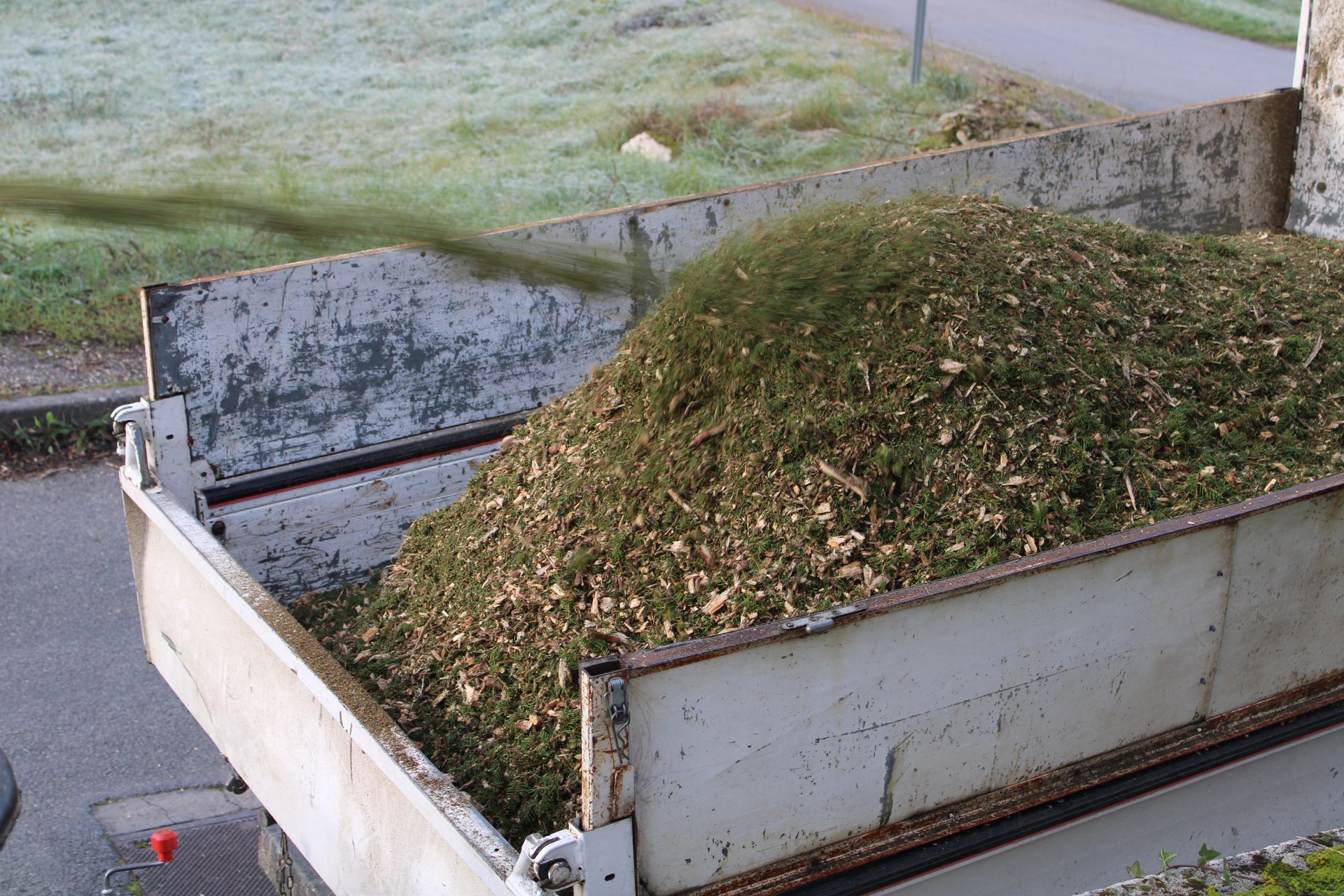La benne d'un camion remplie de feuilles vertes et brunes et de débris.