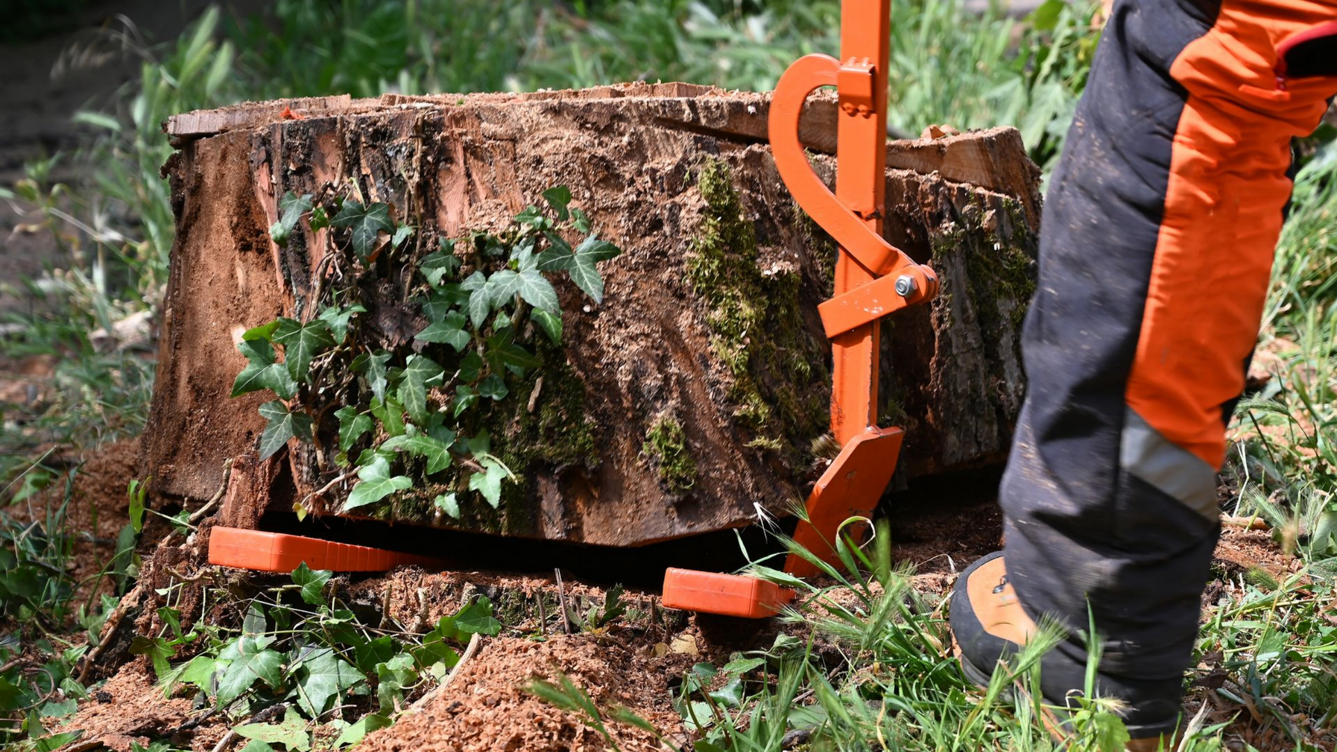 Un outil orange soulève une souche d'arbre.