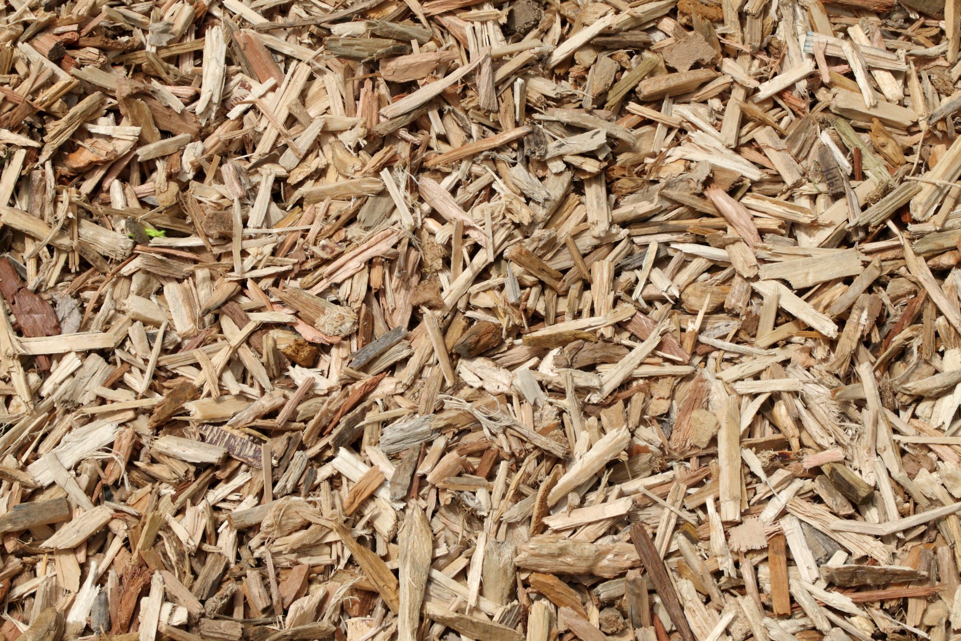 Des copeaux de bois.