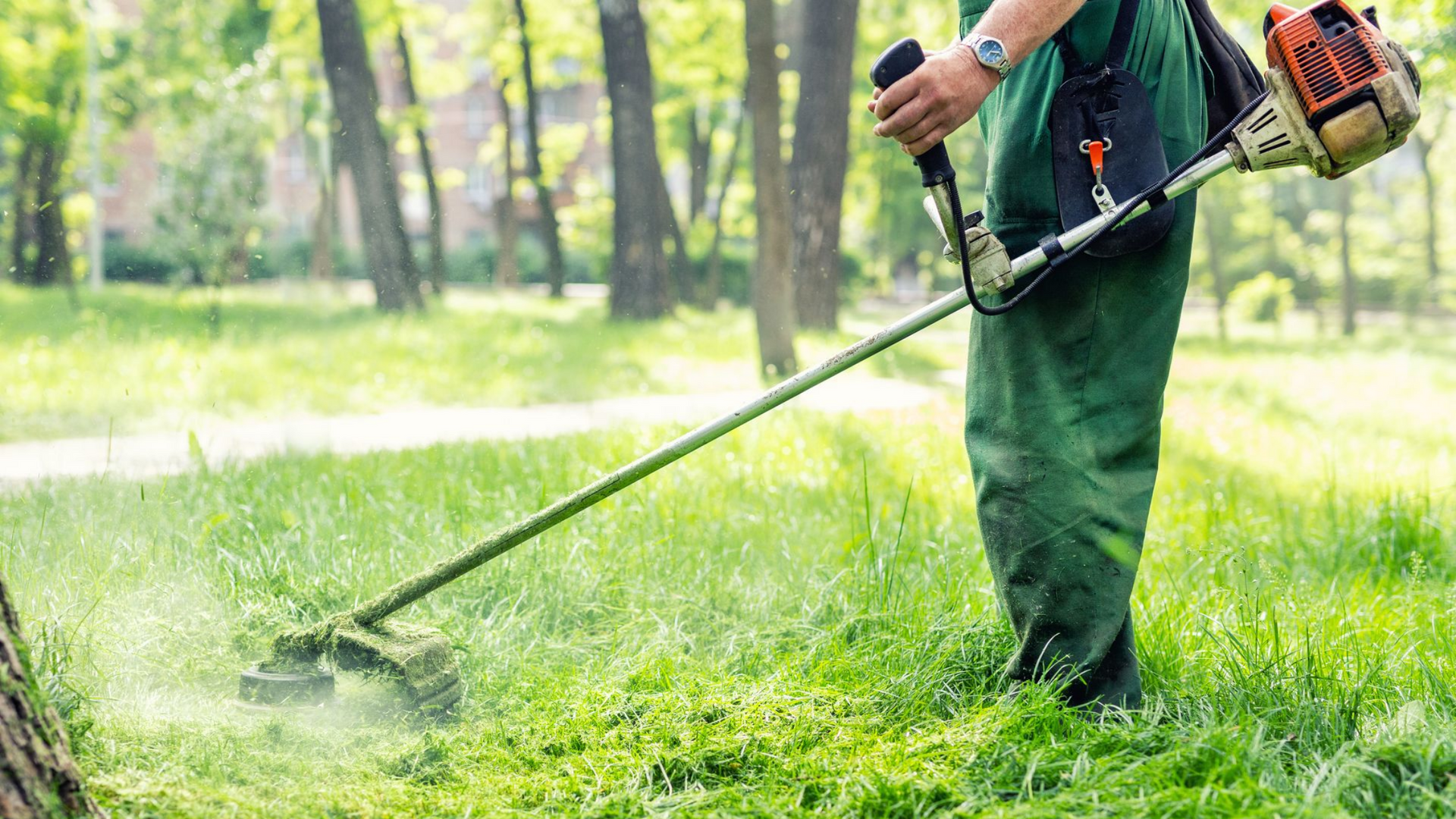 Une personne utilise une débroussailleuse pour tondre la pelouse d'un parc.