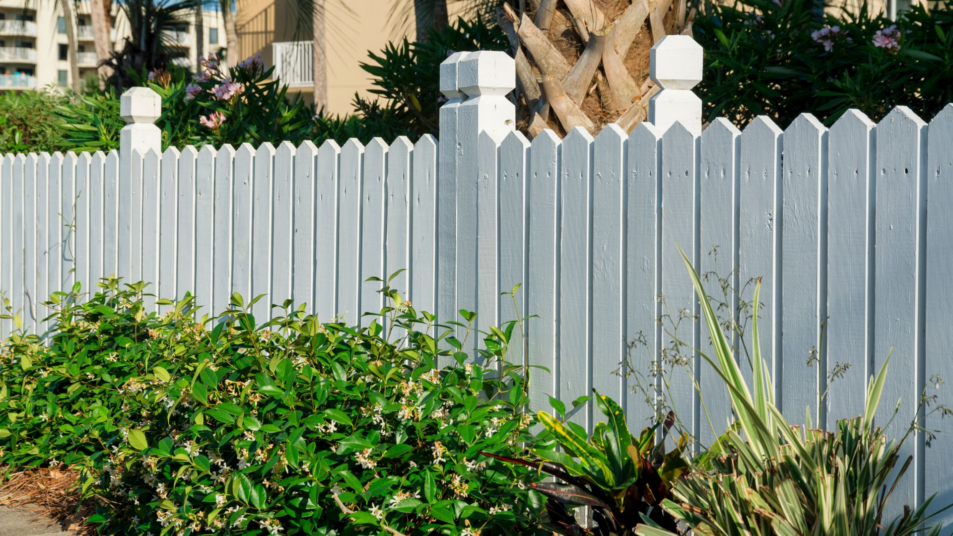 Clôture blanche avec des buissons verts devant.