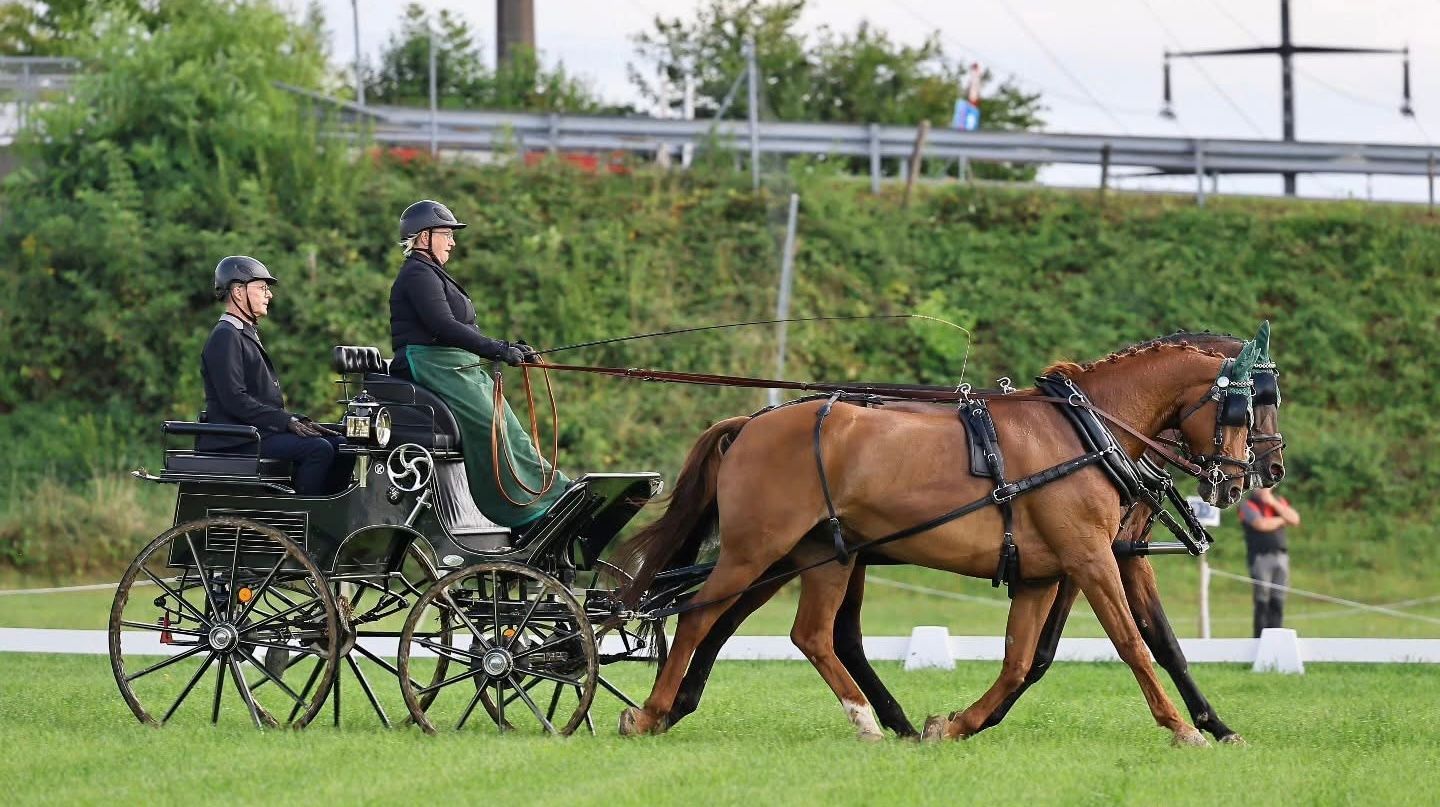 Ein Mann steht hinten in einem mit Pappkartons gefüllten Lieferwagen.
